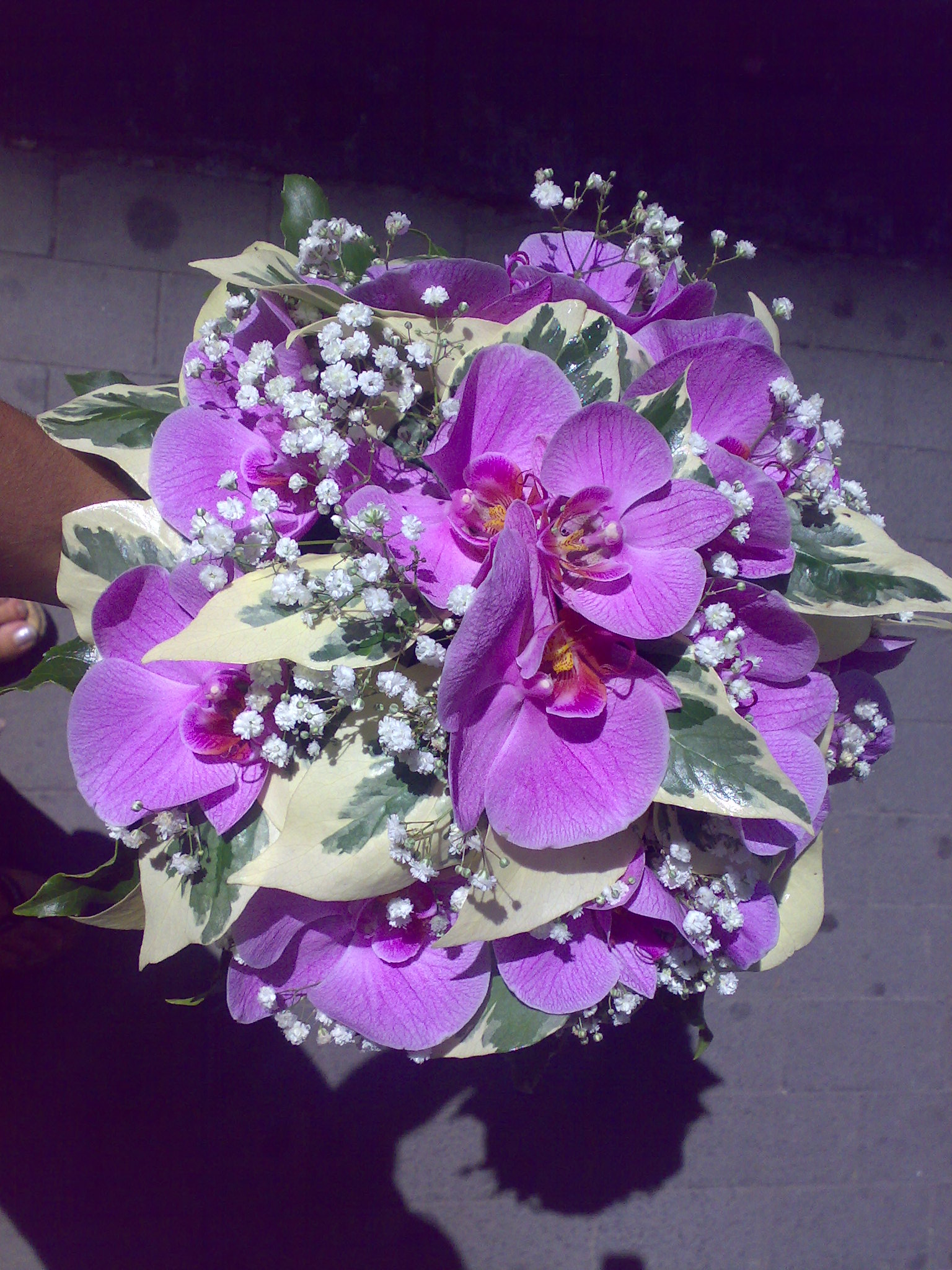 bouquet-phalenophsis-lilla